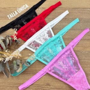 Panty 091
